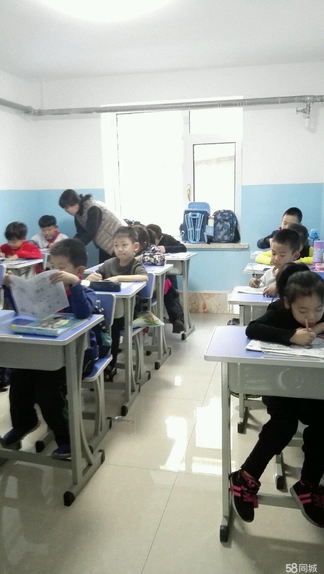 小学生作业辅导老师
