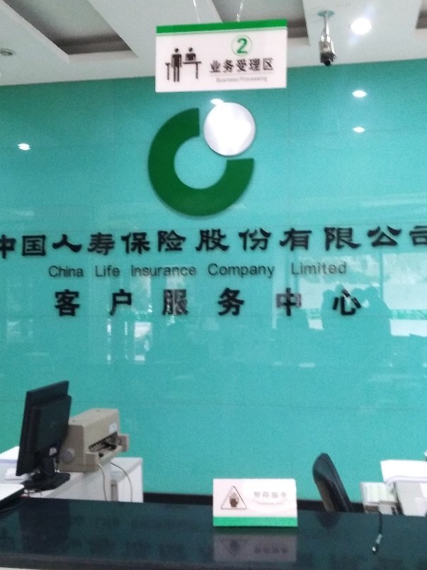 公司简介 中国人寿保险(集团)公司及其子公司构成了我国*大的商业