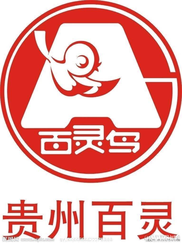 贵州百灵企业集团制药股份有限公司湖南分公司图片0