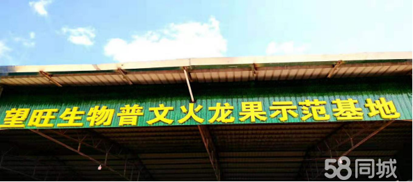 西双版纳望旺生物科技有限公司介绍图片1
