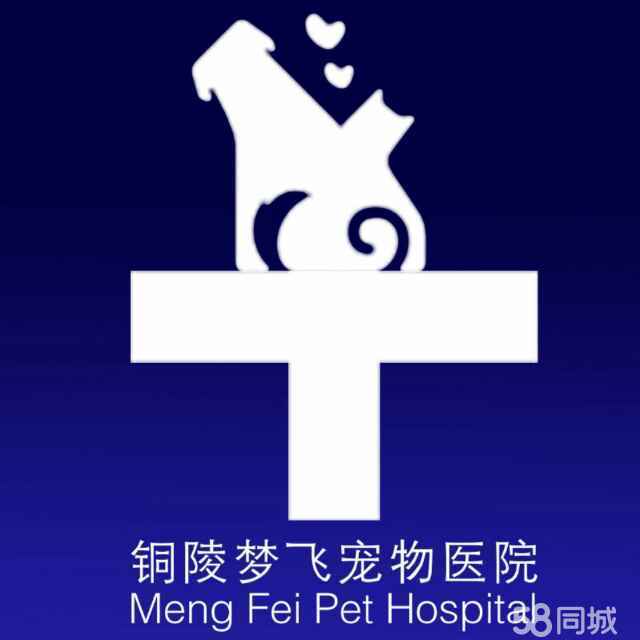 铜陵市铜官山区梦飞宠物诊疗服务部图片0