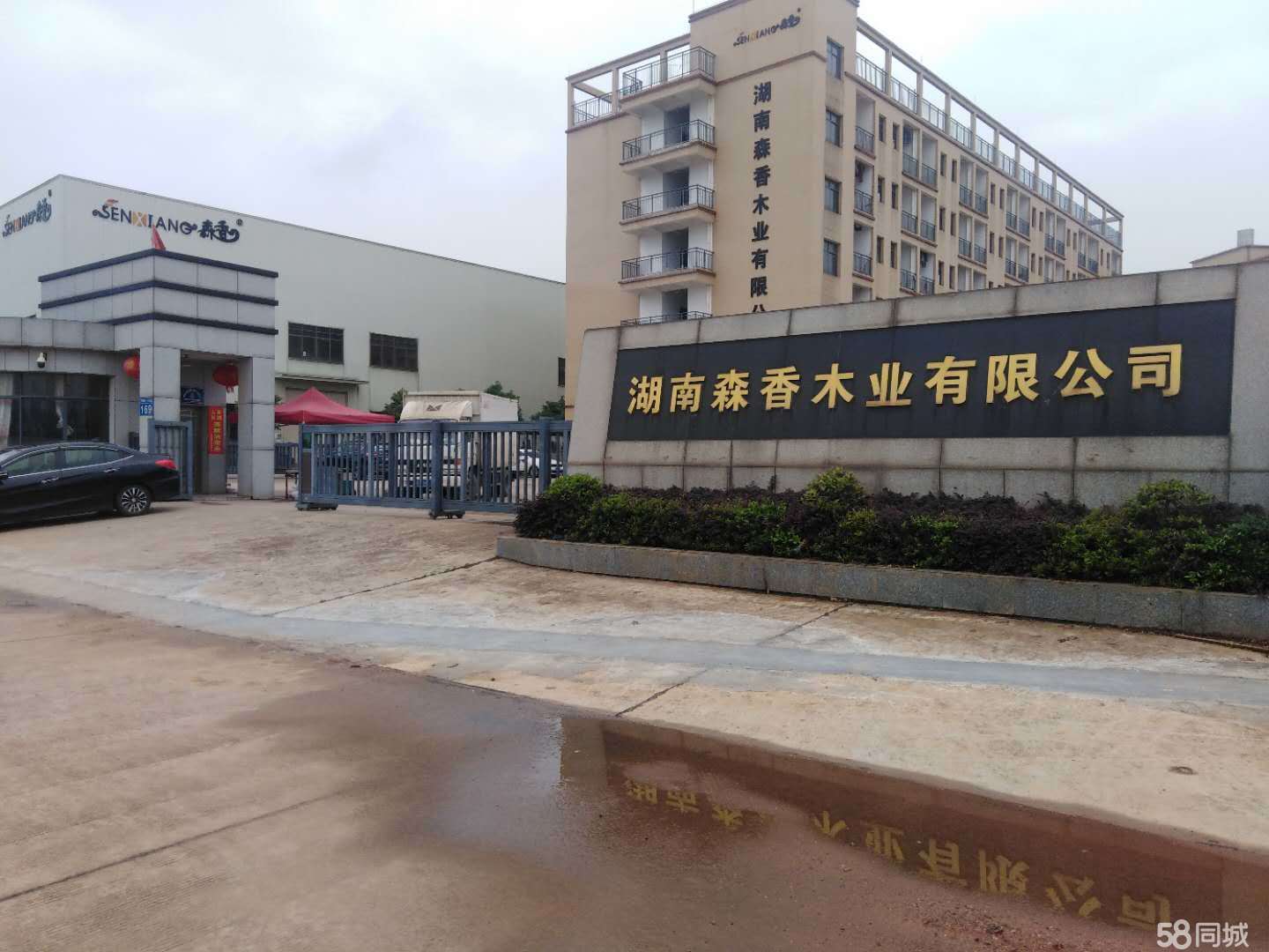 湖南森香木业有限公司图片0