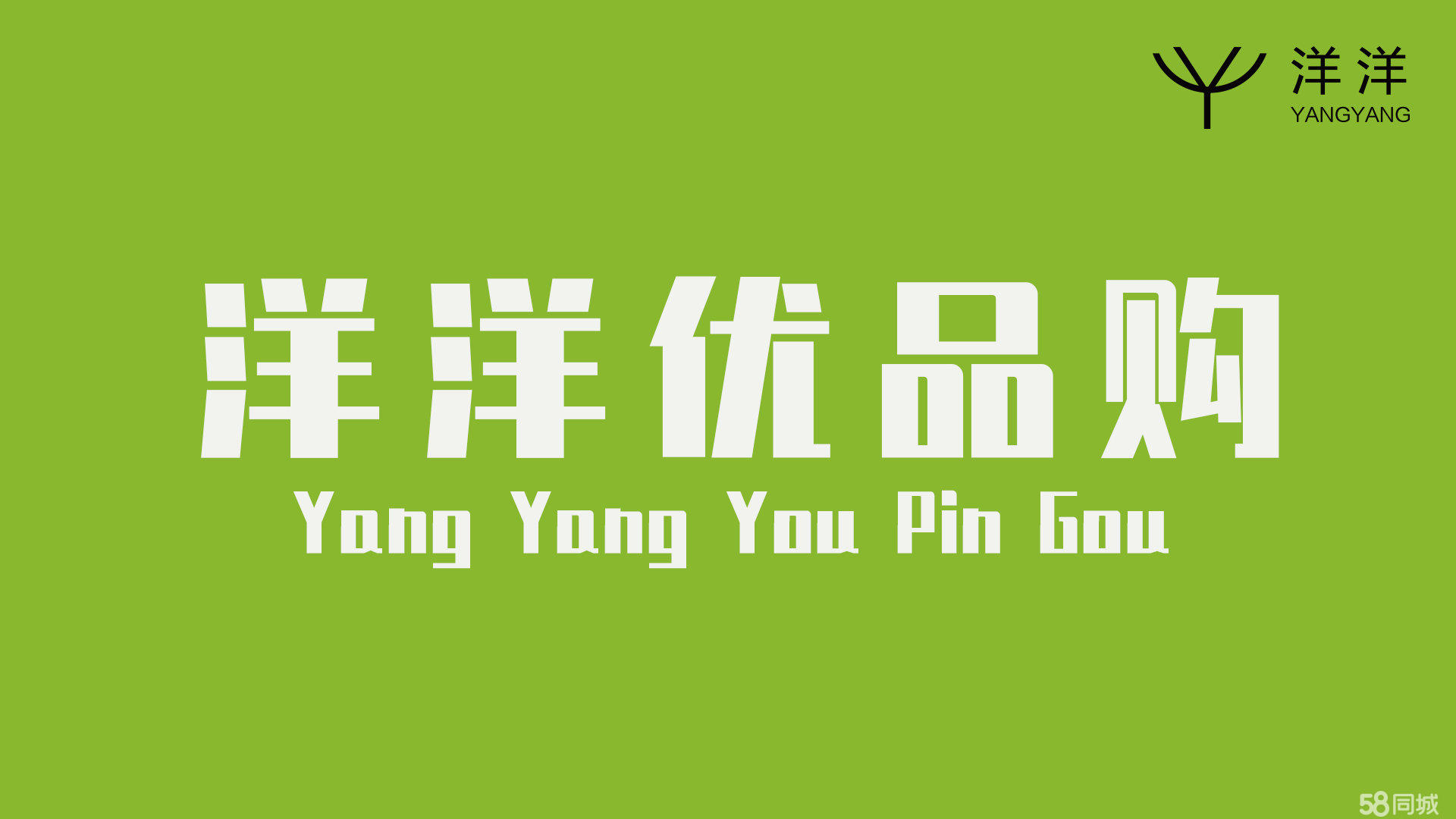 广西洋洋贸易有限公司图片0