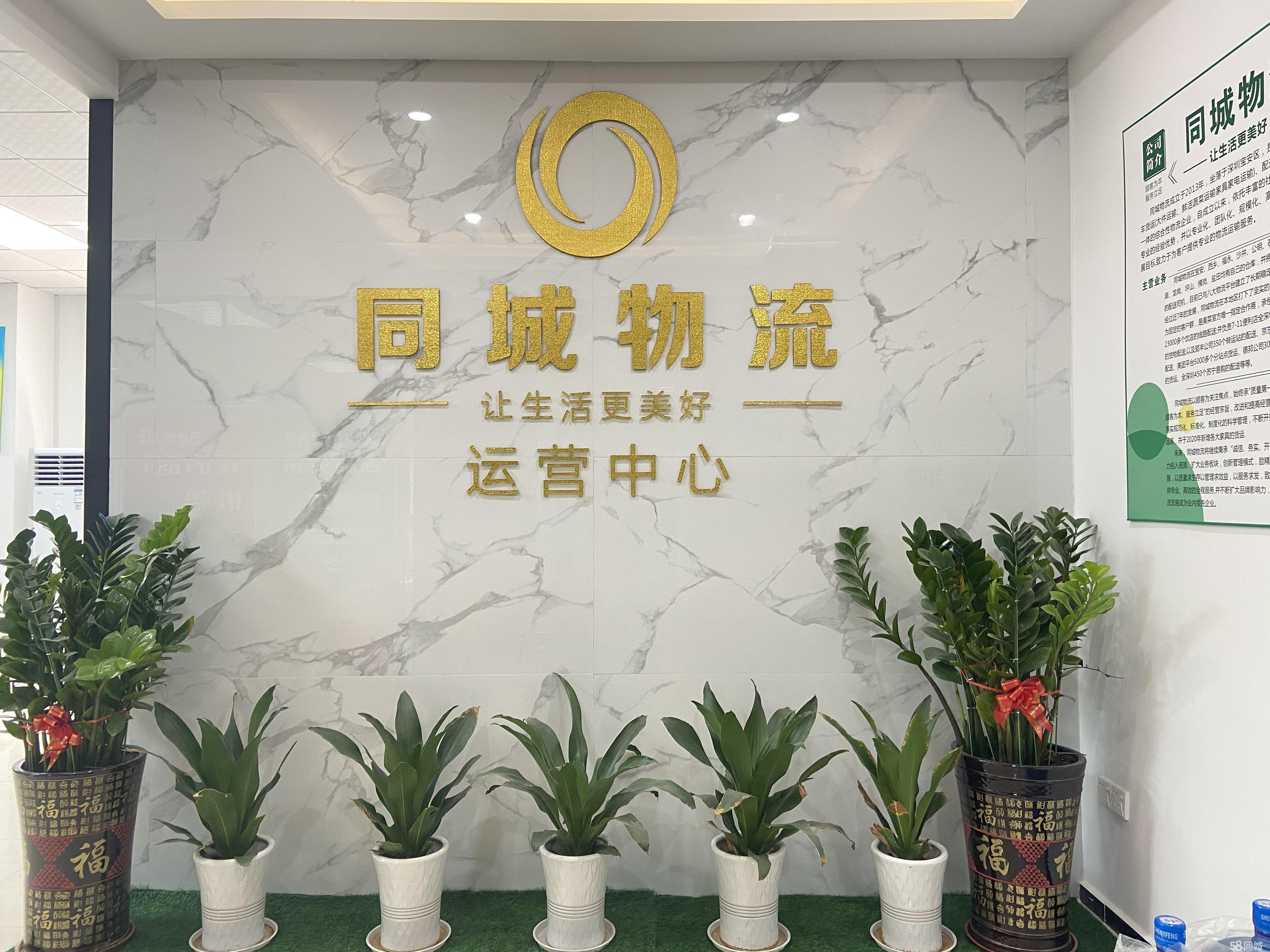 深圳市同城物流供应链有限公司图片0