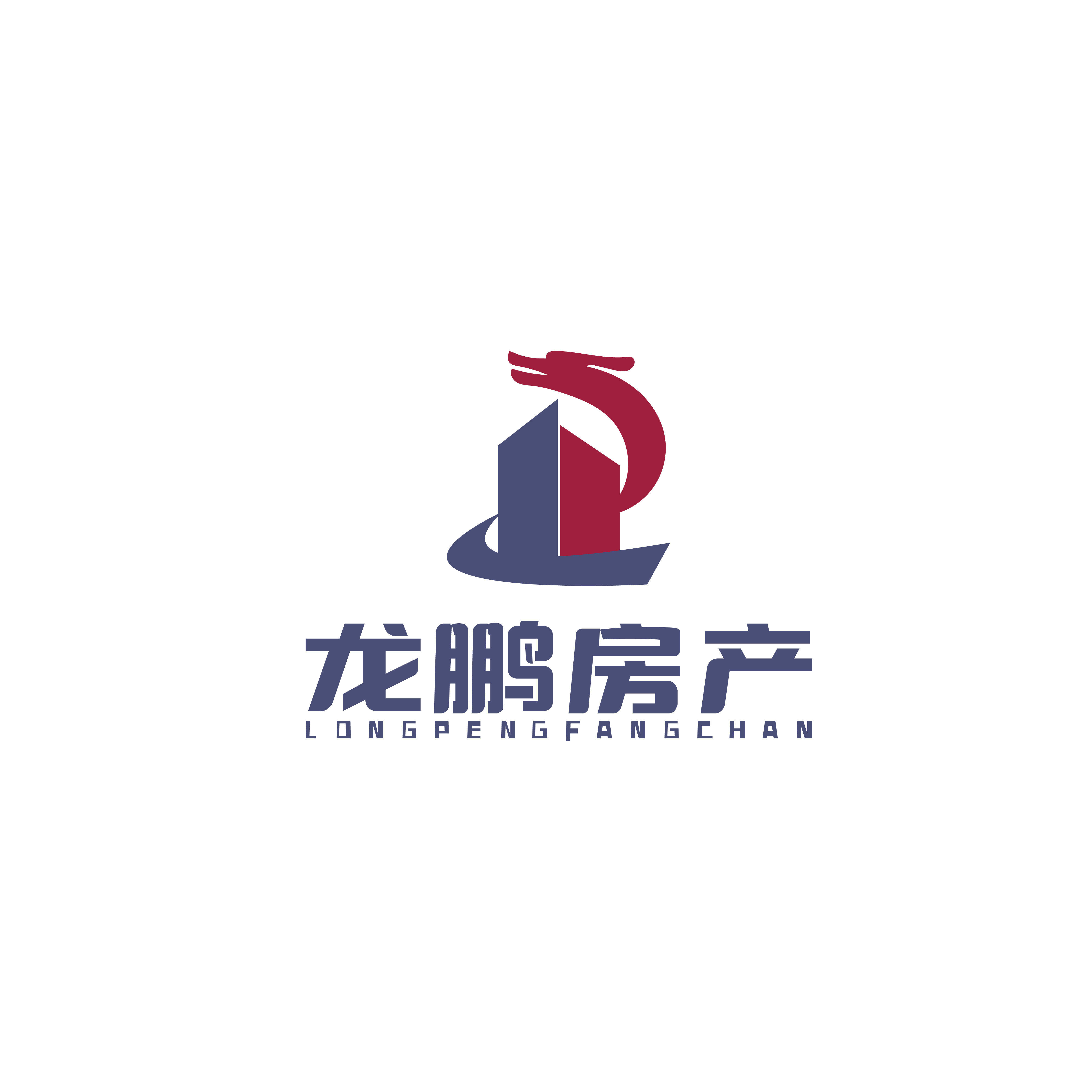 新疆龙鹏房地产开发有限公司图片0
