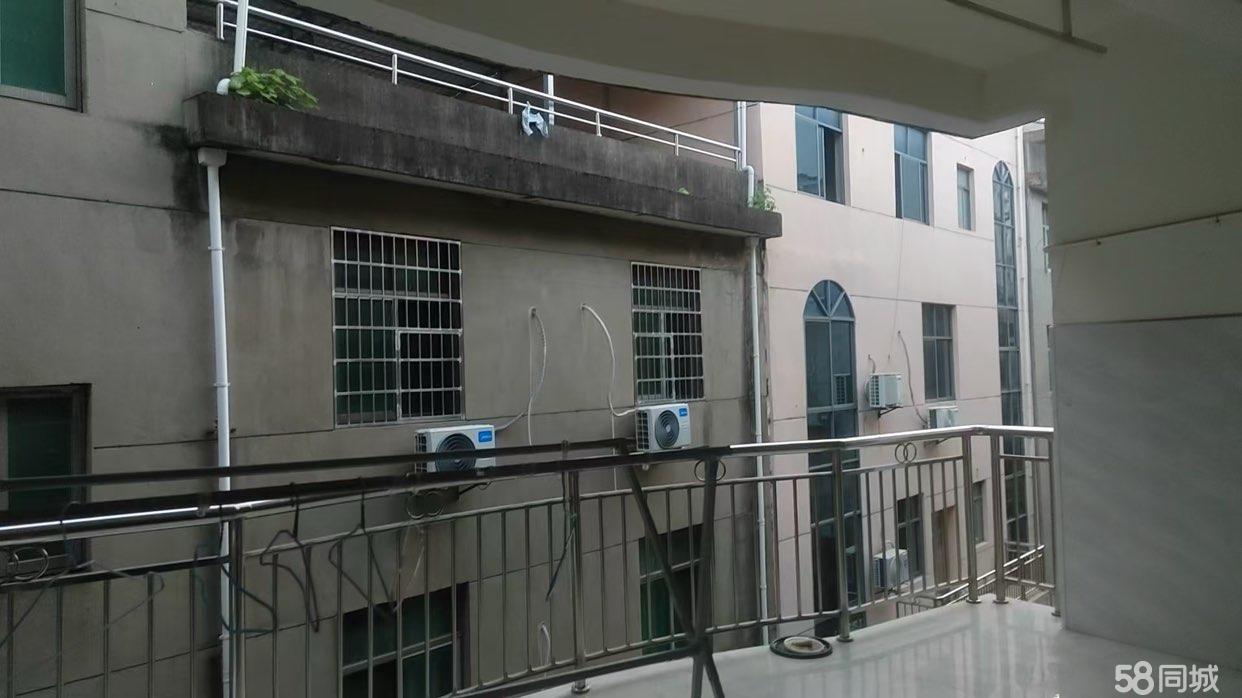 丁家洲村 2室1厅1卫