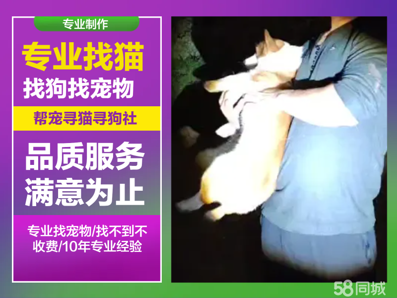 全国专业找宠物/找猫/找狗/找不到不收费