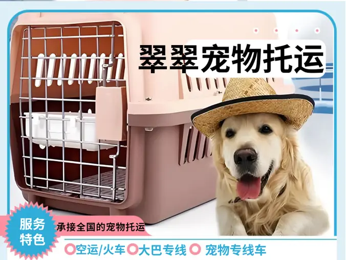 翠翠宠物托运专业专注宠物托运服务10多年，经验丰富，安全可靠