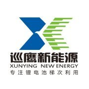 安徽巡鹰再生资源利用有限公司图片0
