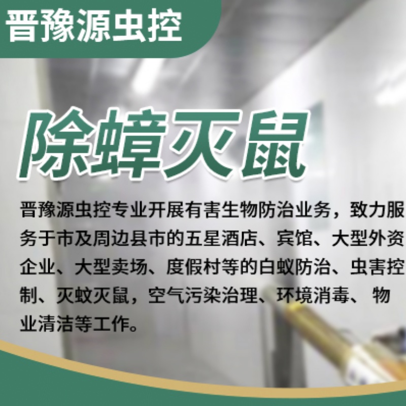 店主头像
