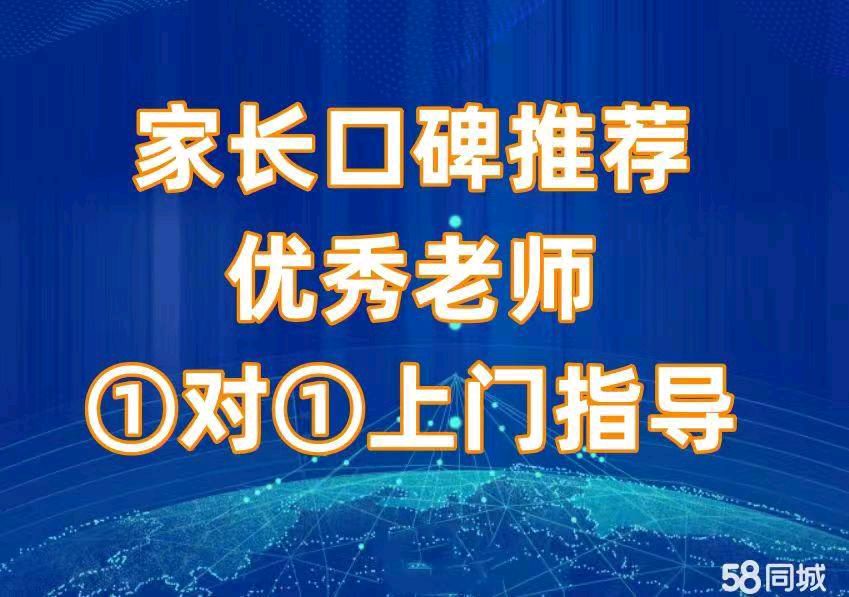 课后周末上门教学生专职老师一对一陪读陪学补习辅导陪孩子写作业