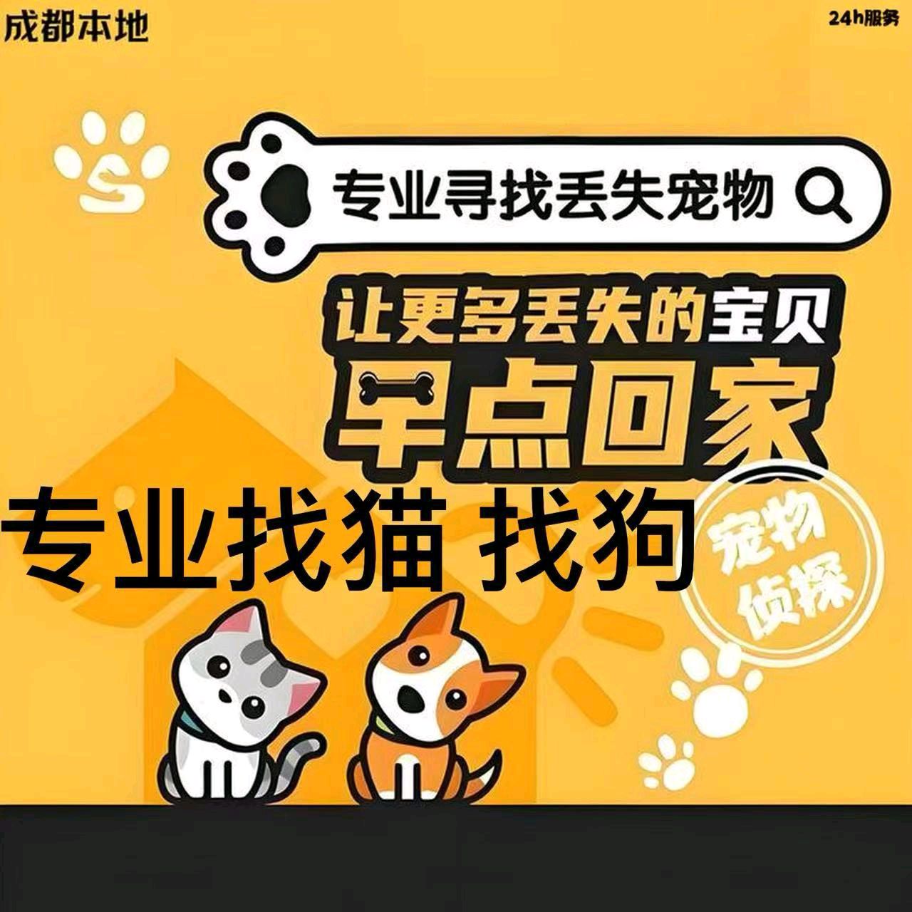 本地师傅 专业找猫 专业找狗( 找的快)专业团队