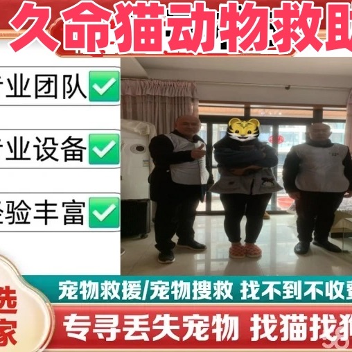 店主头像