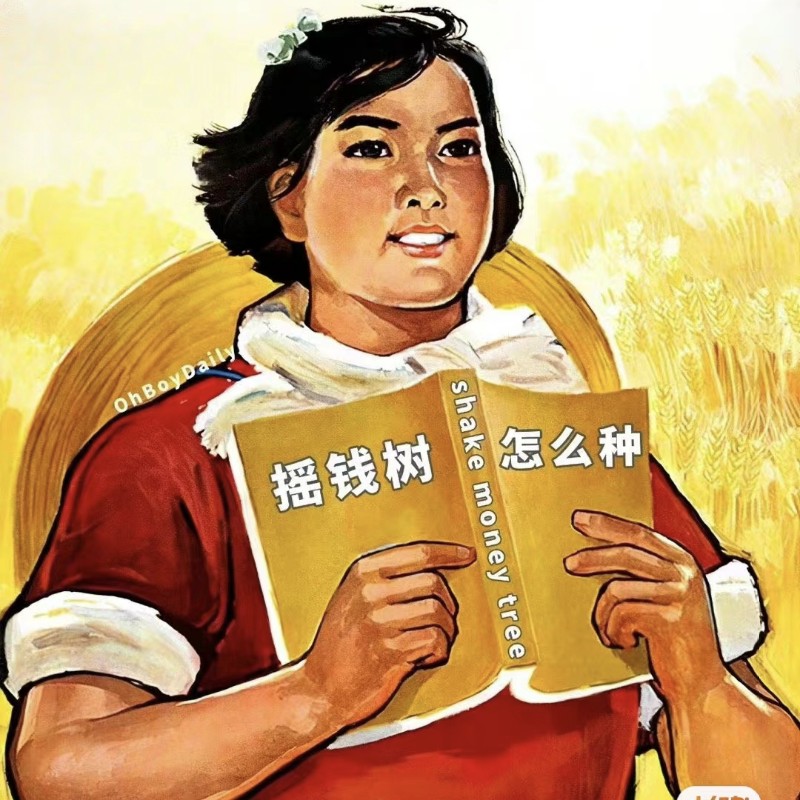 店主头像