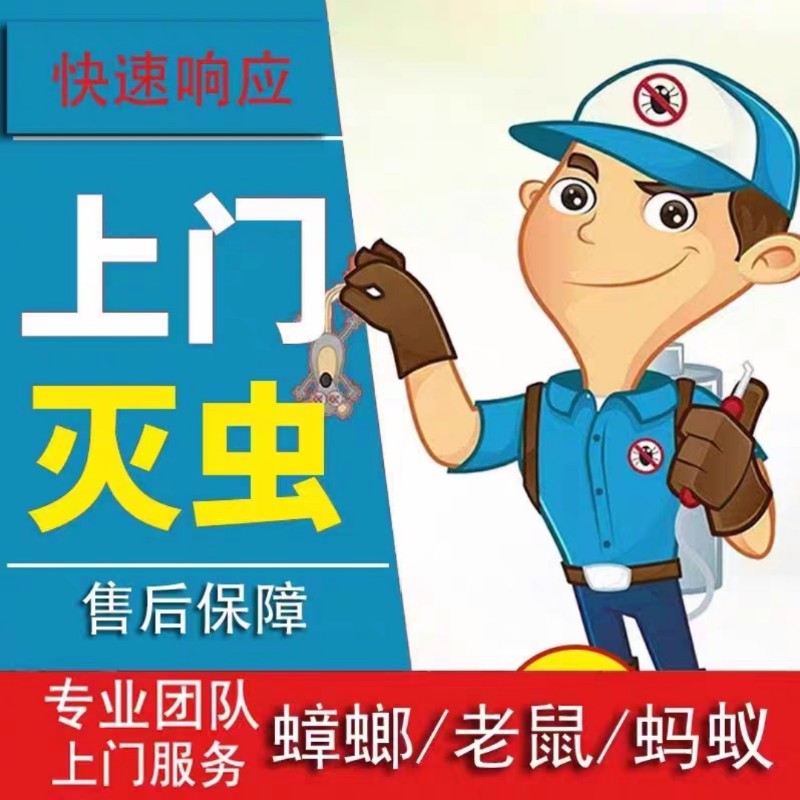 店主头像