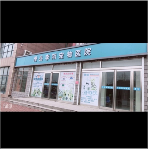 滑县李阳宠物医院门诊部图片0