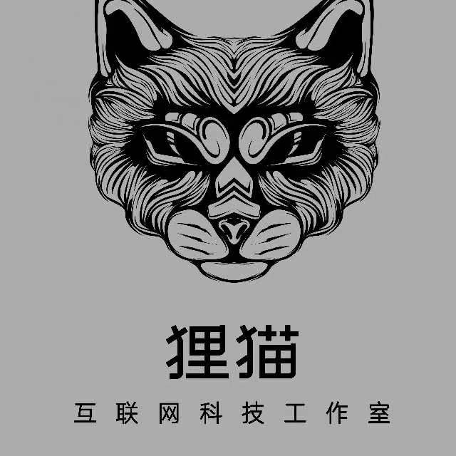伊川县狸猫信息科技工作室图片0