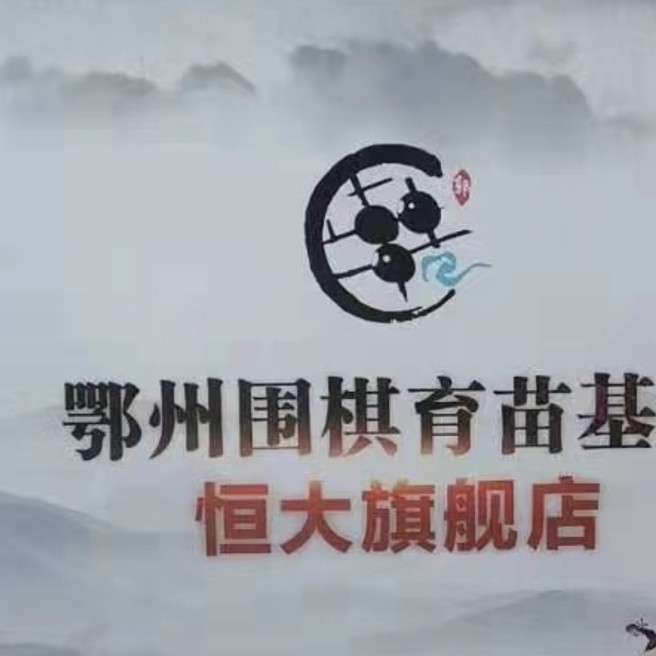 鄂州市松林围棋文化传播有限公司图片0