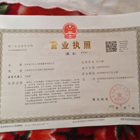 定兴县巴托人力资源服务有限公司图片0