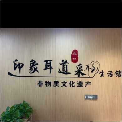 东莞市长安印象耳道健康管理服务店（个体工商户）图片0