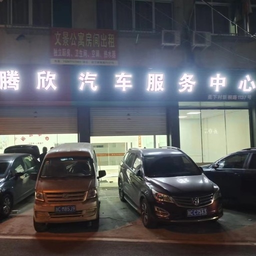 温州腾欣汽车服务有限公司图片0