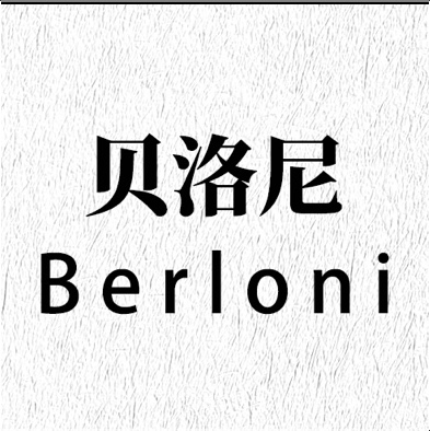 贝洛尼（沈阳）定制家居有限公司图片0