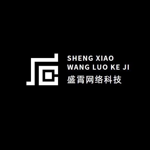 漯河盛霄网络科技有限公司图片0