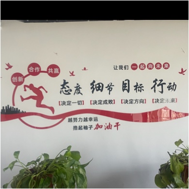 淮北金鳞网络科技有限公司图片0