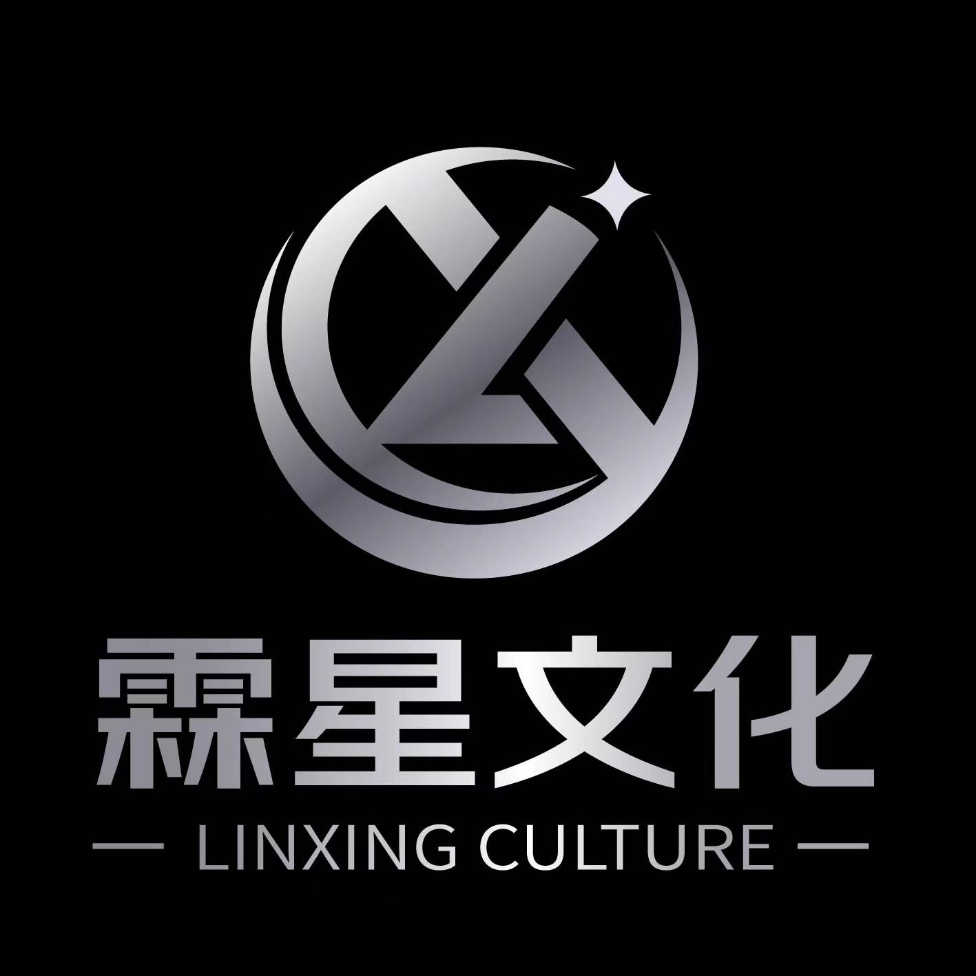 阜阳霖星文化传播有限公司图片0