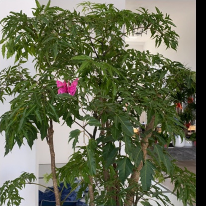沈抚示范区禅竺瑜伽养生馆（个体工商户）图片0