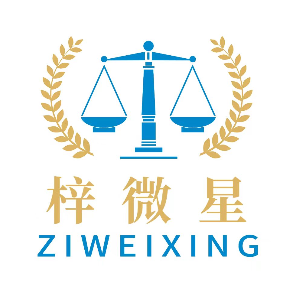 武汉梓微星法律咨询有限公司图片0
