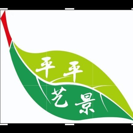 遂宁高新区平平艺景花卉经营部图片0