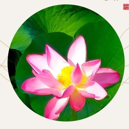 吴忠市红寺堡区博思托管中心图片0