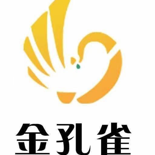 重庆市大足区金孔雀艺术培训有限公司图片0