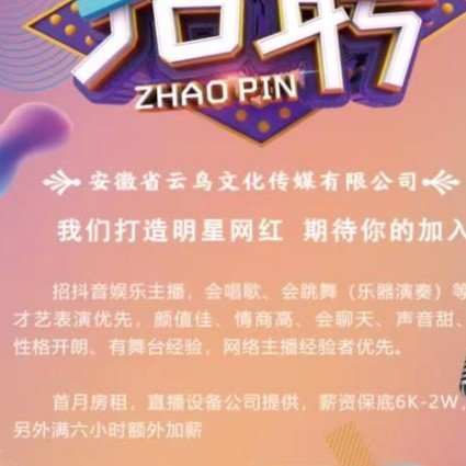 安徽省云鸟文化传媒有限公司图片0