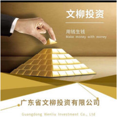 广东省文柳投资有限公司图片0