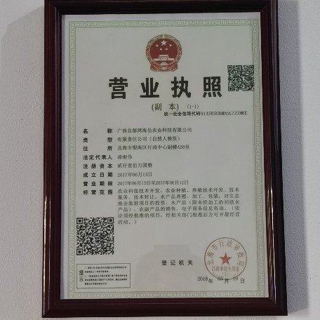 广西北部湾海岳农业科技有限公司图片0