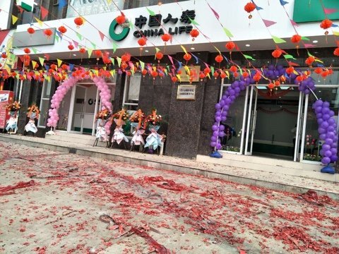 中国人寿保险股份有限公司扶绥支公司介绍图片6