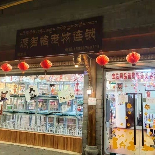 康定市派多格宠物店图片0