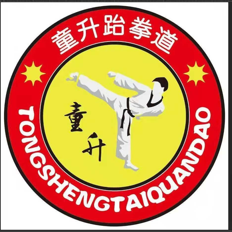 铜陵市郊区童升跆拳道馆图片0