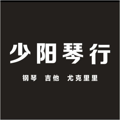 东莞市凤岗少阳琴行图片0