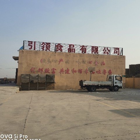 吐鲁番引领食品有限公司图片0
